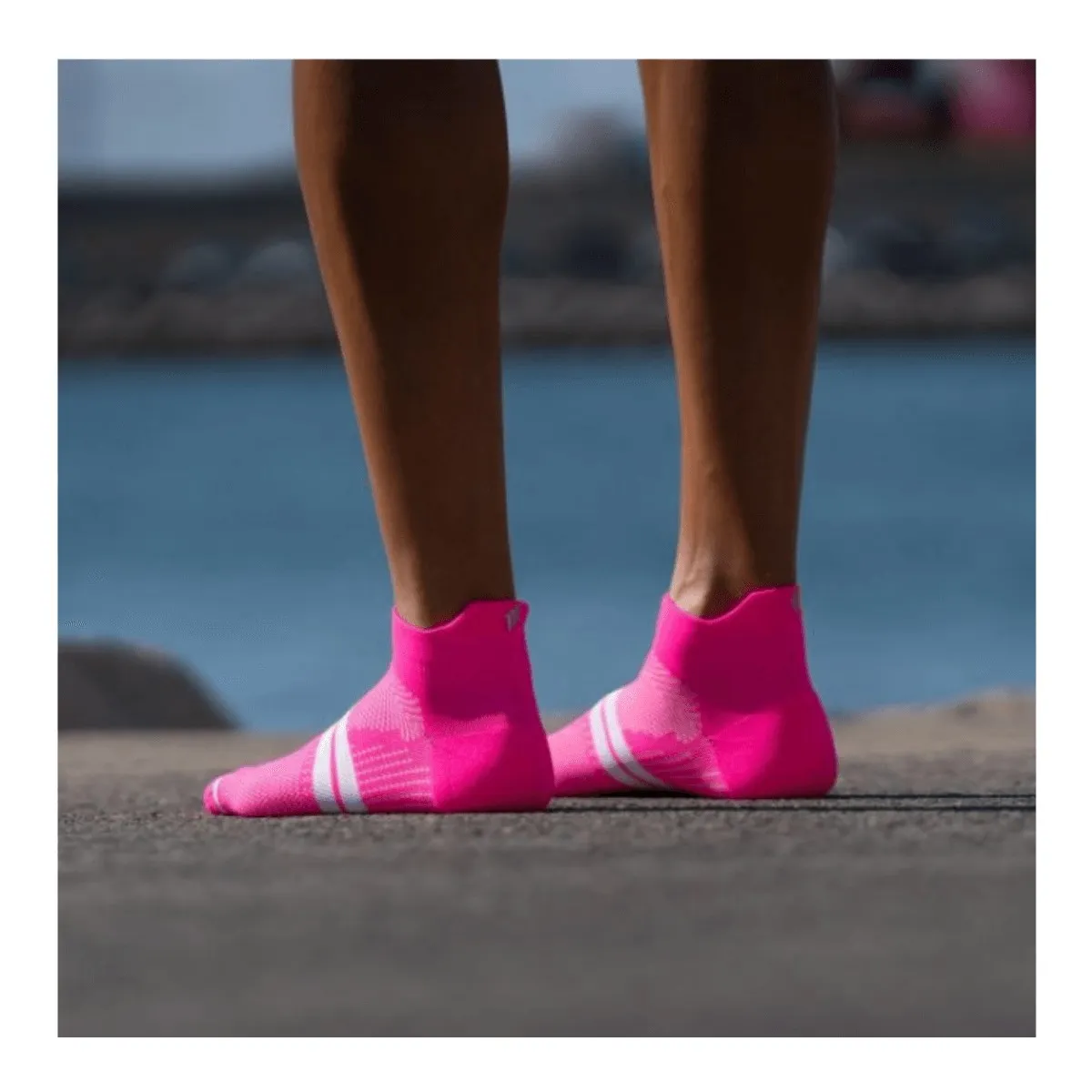 Sporcks Noosa Pink Sock